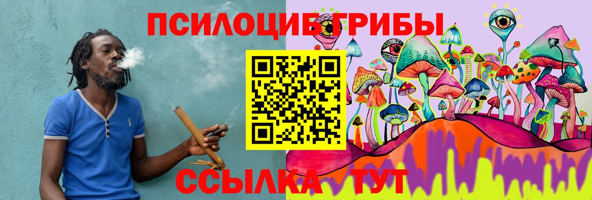 Шахты  Галлюциногенные грибы GOLDEN TEACHER  Вход с VPN  Галлюциногенные грибы Psilocybine cubensis 