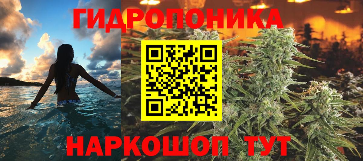 Бошки Шишки Amnesia Шахты